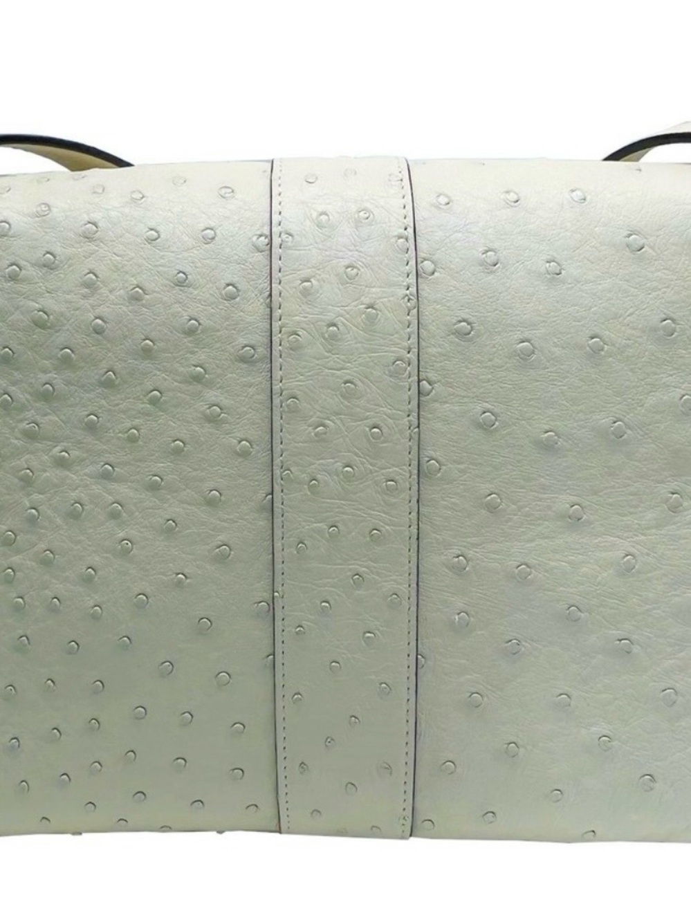 Gucci Ivory Ostrich-Embossed GG Shoulder Bag with Gold Hardware - Picture 6 of 16